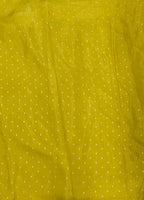 Chinon Georgette Saree With Border Checks Design