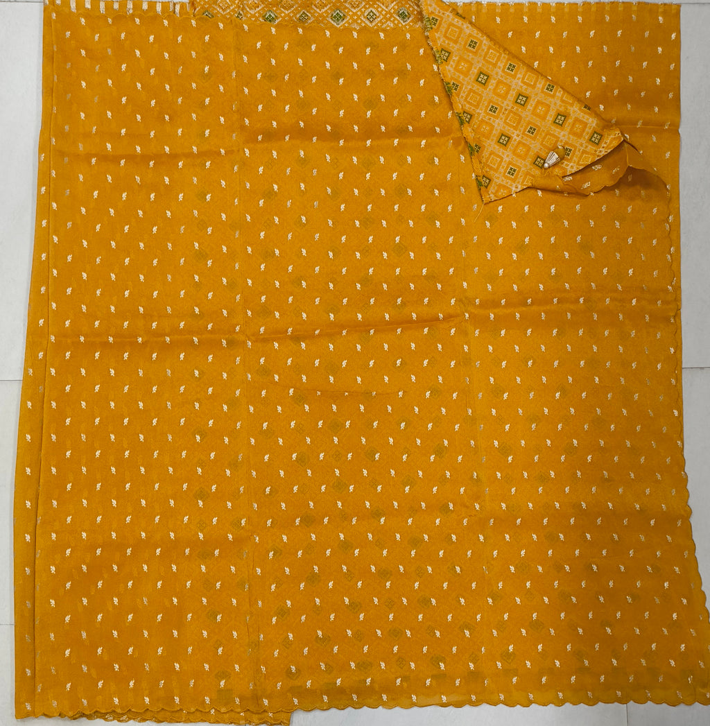 Tissue Georgette border less With Patola Weaving Blouse