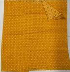 Tissue Georgette border less With Patola Weaving Blouse