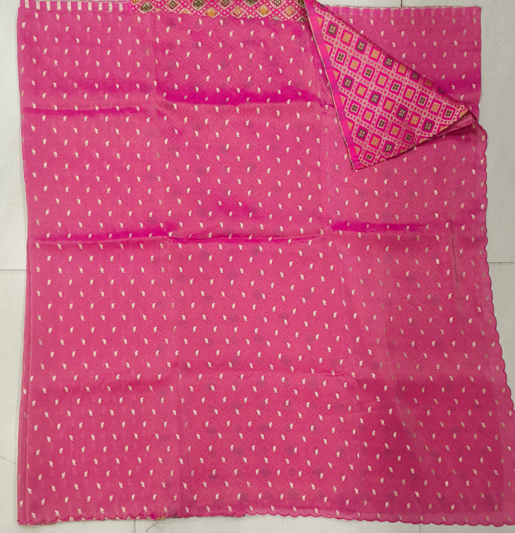 Tissue Georgette border less With Patola Weaving Blouse