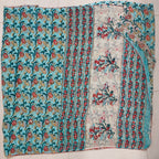 Pastal Blue Saree