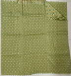 Tissue Georgette border less With Patola Weaving Blouse